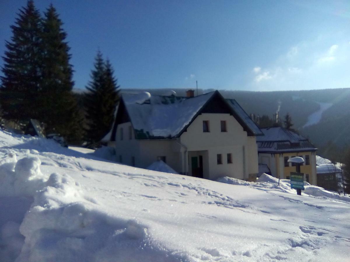 Apartamento U Kobru Špindlerŭv Mlýn Exterior foto